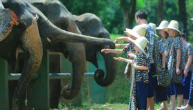 Experience Mae Taeng’s heritage with guided tours
